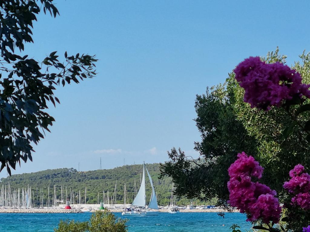Apartmani Punta – fotografija 2