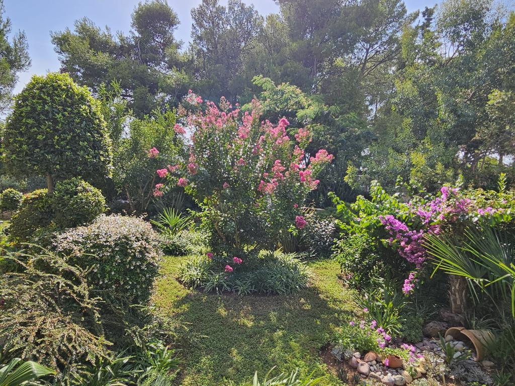 Apartmani Punta – fotografija 3