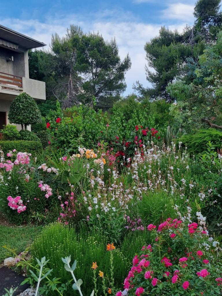 Apartmani Punta – fotografija 5
