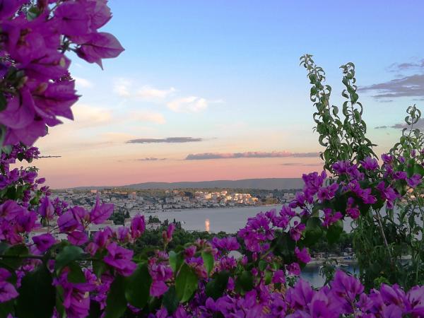 Apartmani Villa Roza – fotografija 3