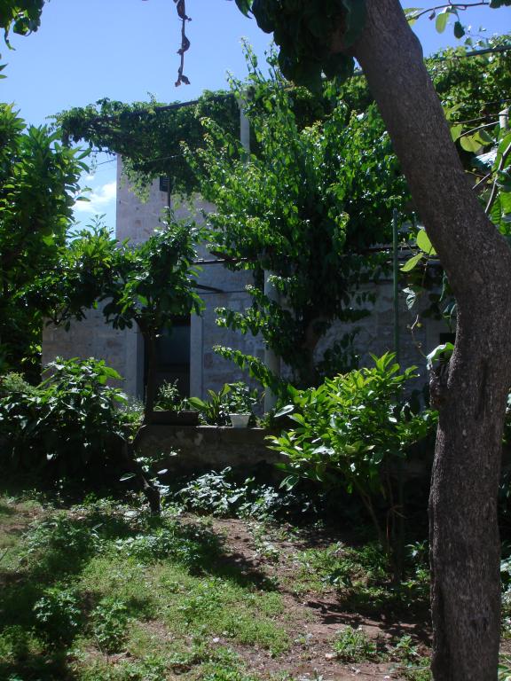 Apartmani Pinta – fotografija 4