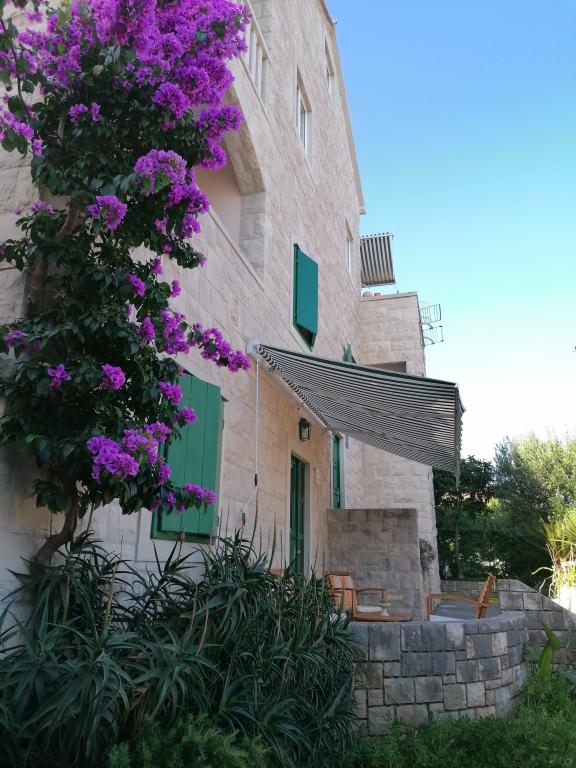 Apartmani Vesna – fotografija 4