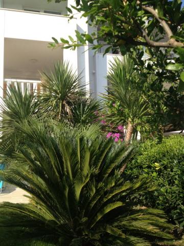 Apartmani Villa Marin – fotografija 3