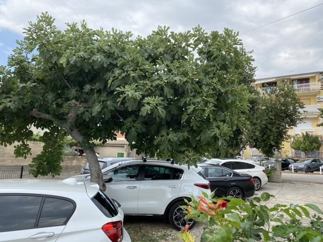 Apartmani Perlica – fotografija 6