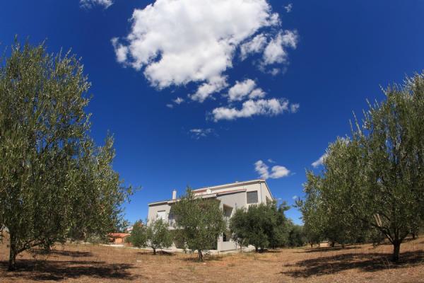 Apartmani Šimunić – fotografija 3