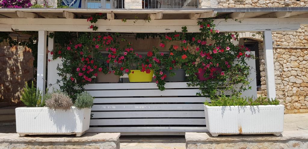 Apartmani Murva – fotografija 5