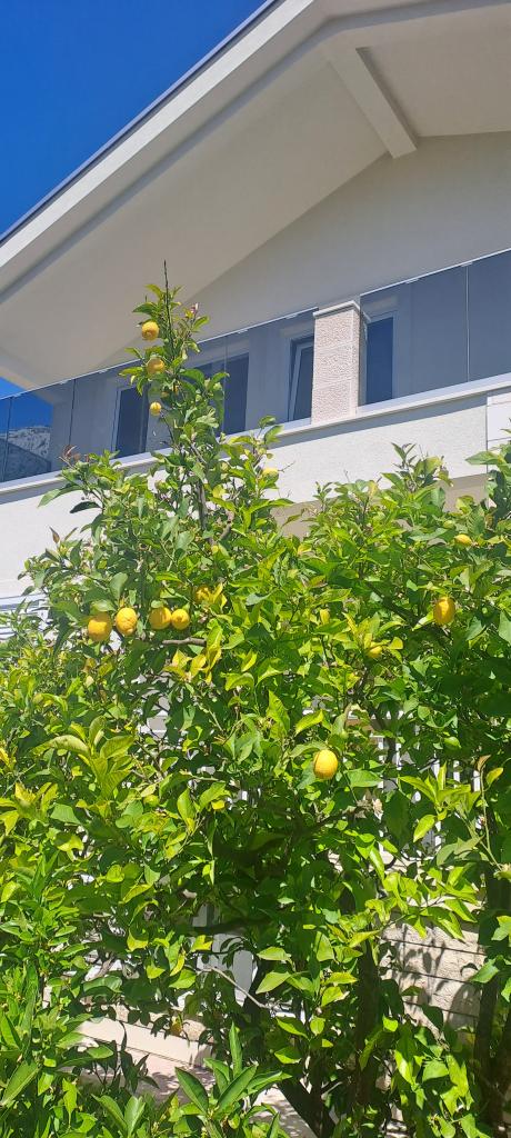 Apartman Tonćo Marić – fotografija 4