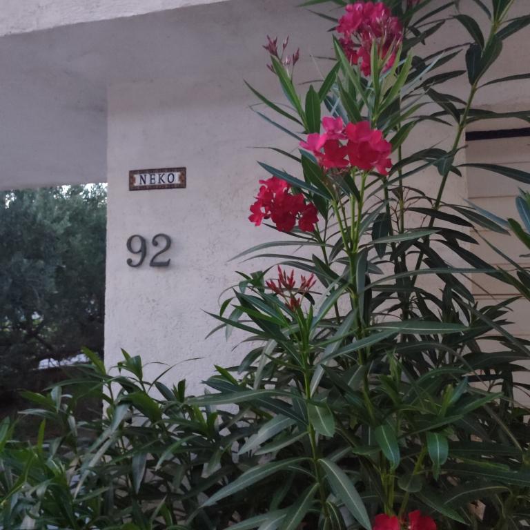 Apartmani Neko – fotografija 5