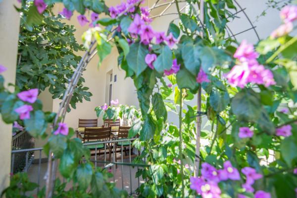 Apartman Asja – fotografija 2