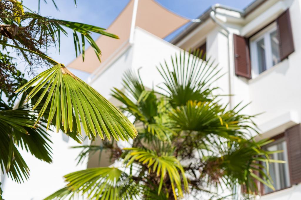 Apartmani Meri – fotografija 3