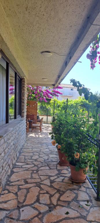 Apartmani Vulin – fotografija 5