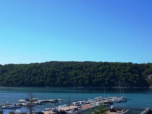 Apartmani Roža – fotografija 5
