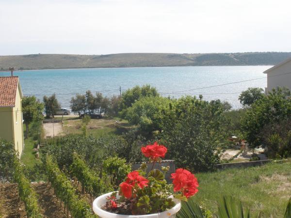 Apartmani Marica – fotografija 5