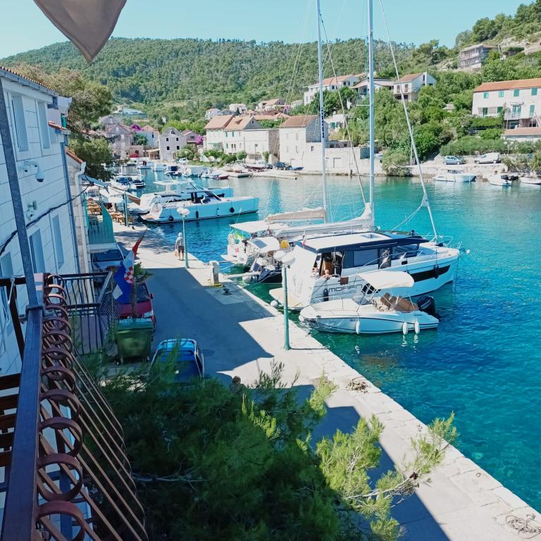 Apartmani Kamenica Antik – fotografija 4