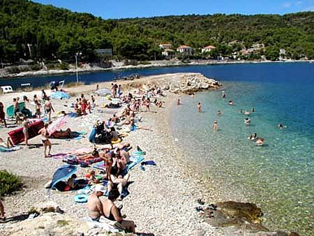 Apartmani Kamenica Antik – fotografija 6