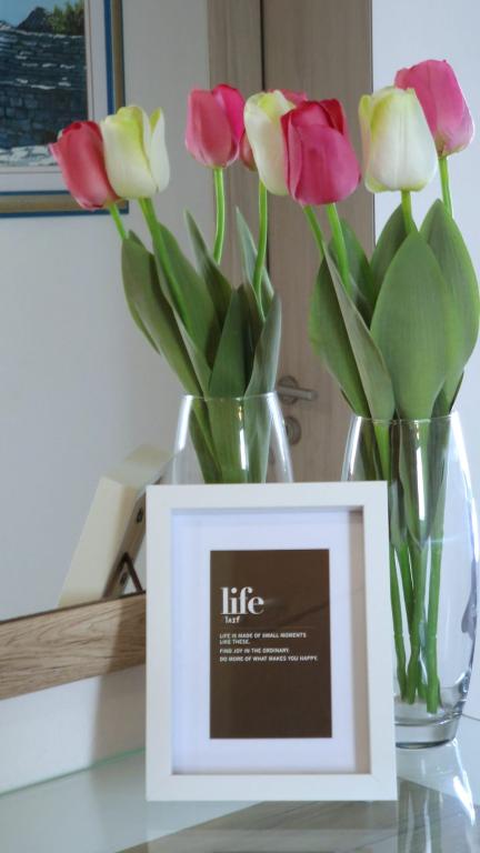 Apartman Silvana – fotografija 5