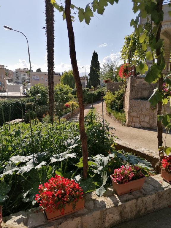 Apartmani Matuč – fotografija 5