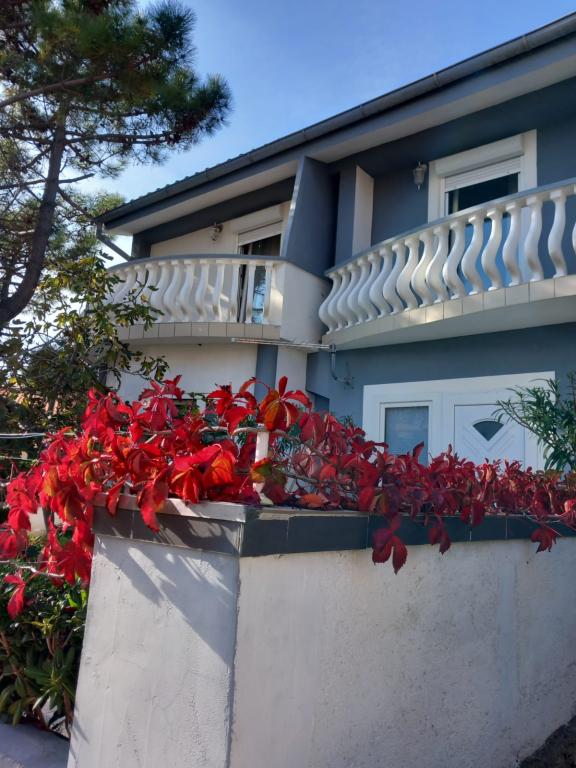 Apartmani Pavlinić – fotografija 4