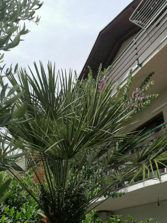 Apartmani Borik 1 – fotografija 4