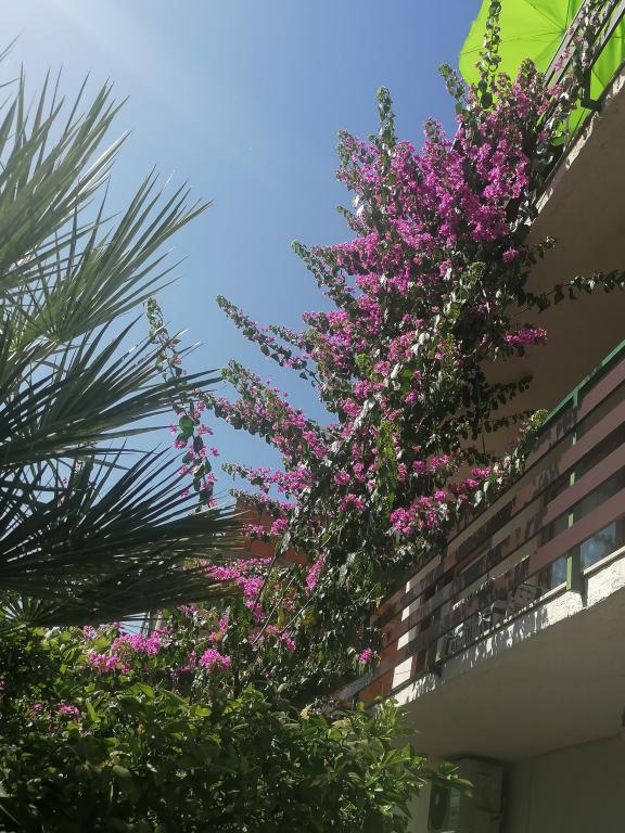 Apartmani Borik 1 – fotografija 6