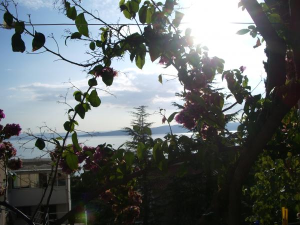 Apartmani Šarić – fotografija 3