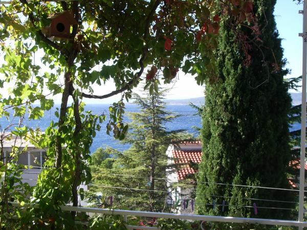 Apartmani Šarić – fotografija 4
