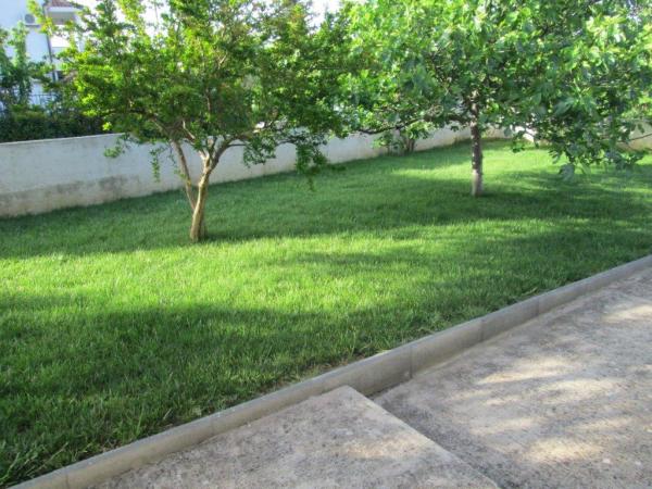 Apartmani Dragica – fotografija 2