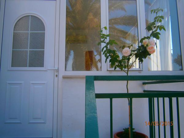 Apartmani Villa Tri Palme – fotografija 5