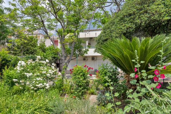 Apartmani Palma – fotografija 2