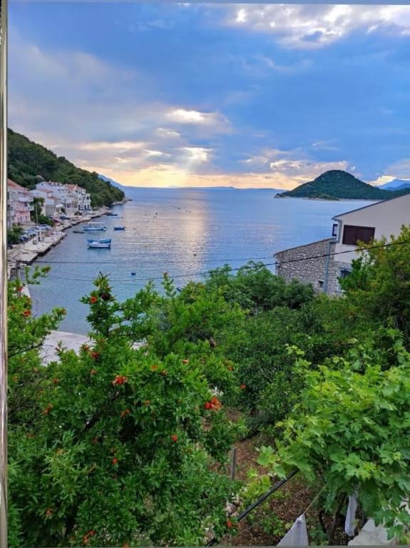 Apartmani Vale – fotografija 5