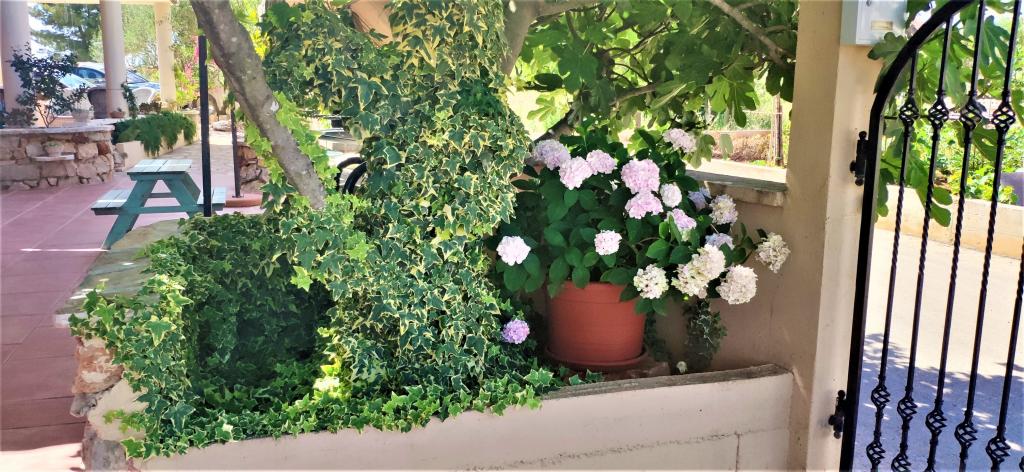 Apartmani Dea & Paula – fotografija 4