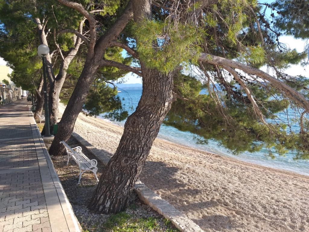 Apartmani Paola – fotografija 2