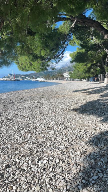 Apartmani Mare – fotografija 5