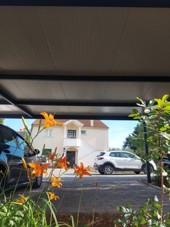 Apartmani Skočić – fotografija 5