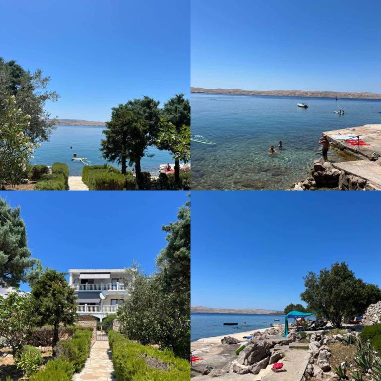 Apartmani Palma Cesarica – fotografija 3