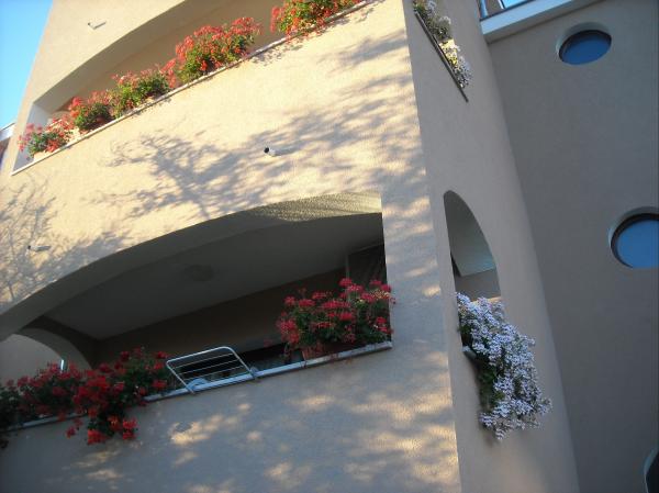 Apartmani Mimoza – fotografija 3