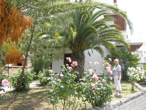 Apartmani Coala Inn – fotografija 2