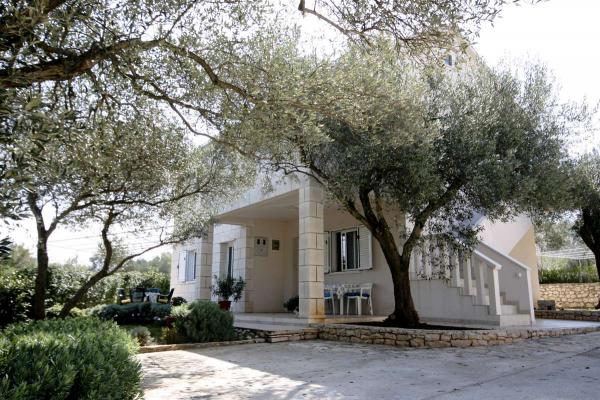 Apartmani Maslina – fotografija 1