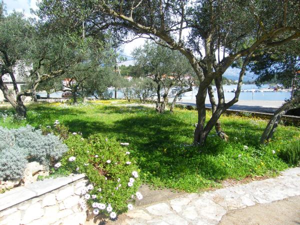 Apartmani Maslina – fotografija 5