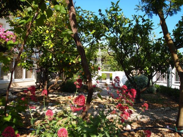 Apartmani Fani – fotografija 4